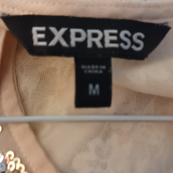 Express Sequin Sheer top - Picture 6 of 6